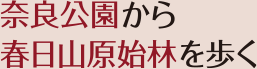 奈良公園から春日山原始林を歩く