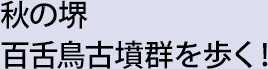 秋の堺 百舌鳥古墳群を歩く！