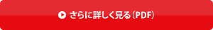 さらに詳しく見る（PDF）