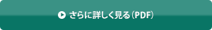 さらに詳しく見る（PDF）