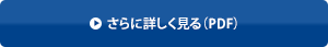 さらに詳しく見る（PDF）