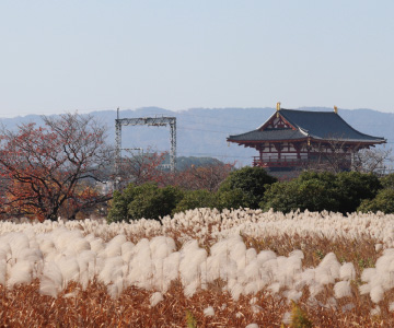 平城京跡